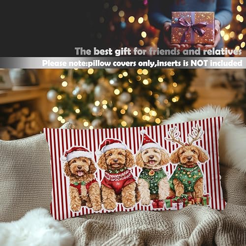 DAYOUER Christmas Goldendoodle Pillow Cover 12x20 Multicolor 01, 18x18 Accent