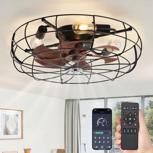 LEDIARY 23-Inch Farmhouse Ceiling Fan with Lights and Remote - Black