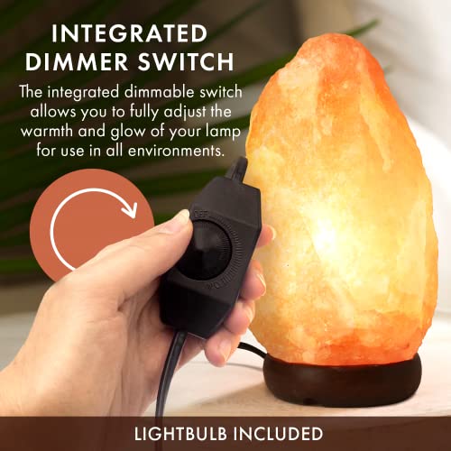 Large 8-10 Inch Himalayan Salt Lamp with Dimmer - Pink Rock Night Light & Wooden Base