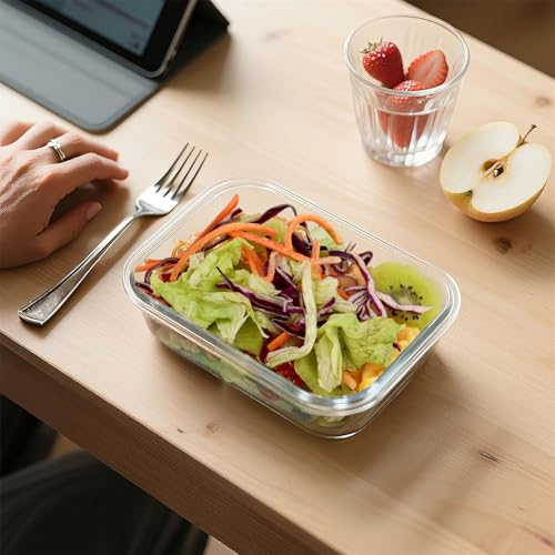 Glass Meal Prep Containers 10 Pack - Airtight BPA-Free Food Storage, 22 oz