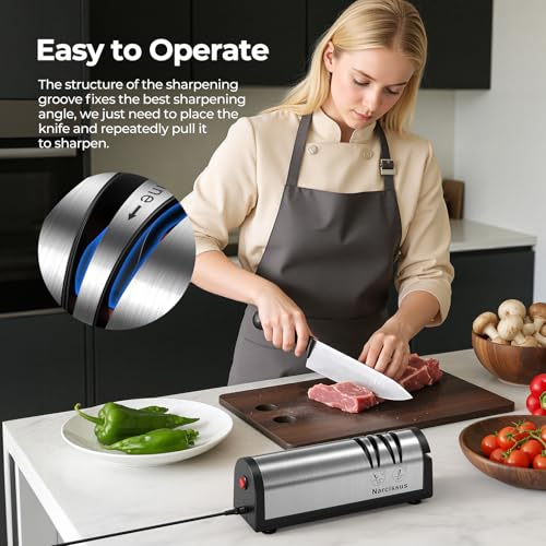 Electric Knife Sharpener 2-Stage Professional Kitchen Tool with Scissors Slot