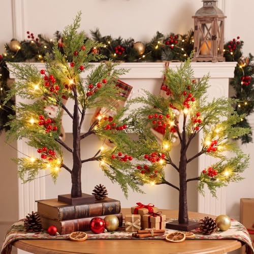 Baquler 2 Pcs Christmas Lighted Birch Trees 24 in – Red Berry Decor (Birch Variant)