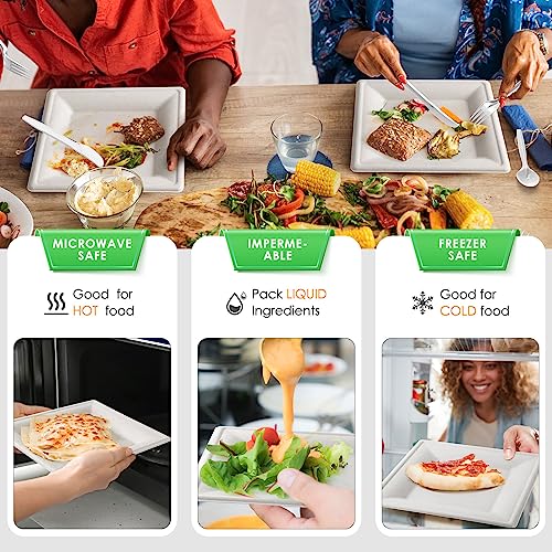 Disposable Compostable Paper Plates Set 300pcs - 10 Inch Eco-Friendly Dinnerware