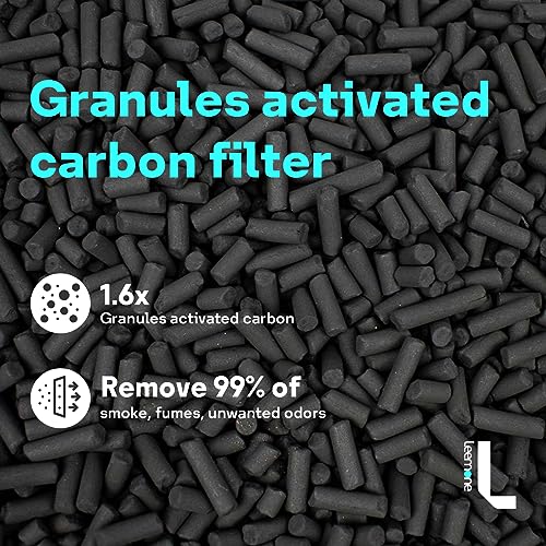 Air Purifier Replacement Filter 2 Pack for Levoit EverestAir-P - HEPA Carbon