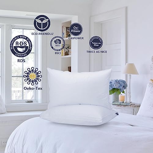 King Goose Down & Feather Pillow Set of 2 - Luxury Hotel-Grade Support