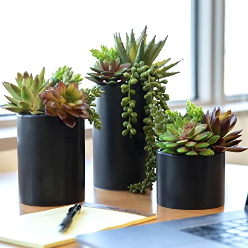 Artificial Succulents Plants in Ceramic Pots - 3 Pack Assorted Faux Office Decor