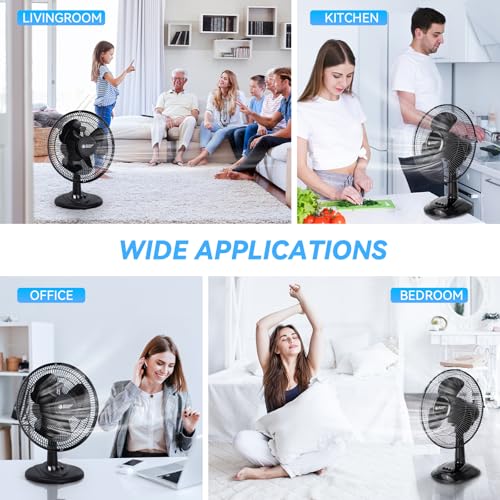 BEYOND BREEZE 12-Inch Black Oscillating Table Fan, 3 Speeds, Quiet & Portable