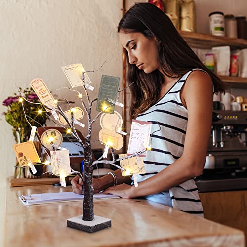 Coume 2-Pack Money Tree Gift Holders with 18-Inch LED Lights & Clips