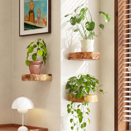 WELLAND Cedar Wood Floating Plant Shelves, Set of 3
