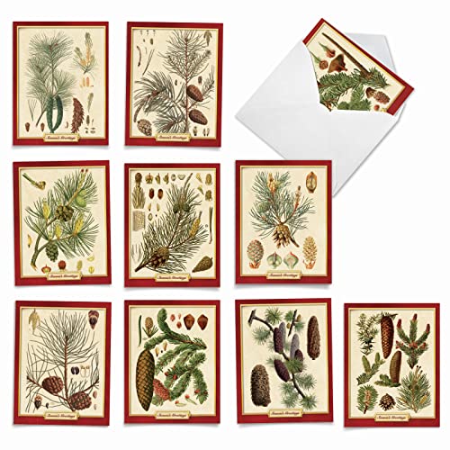 Best Card Co 10 Merry Christmas Boxed Cards Pinecone Pining for Christmas