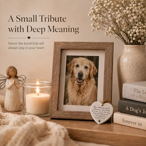 WCDHOR Pet Memorial Heart Ornament - Gift Box, Pet Loss Sympathy Keepsake