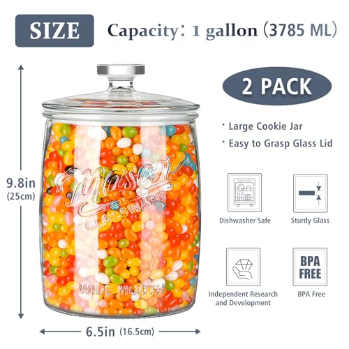 1 Gallon Glass Cookie Jar Set - Airtight Seal & Wide Mouth, 2 Pack