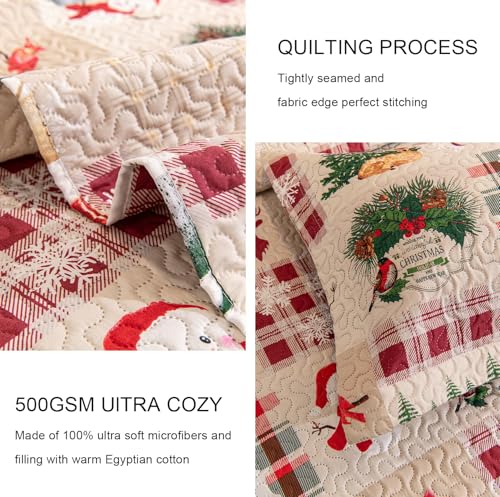 3-Piece Christmas Quilt Set Twin Size Cozy Xmas Snowman Reindeer elk