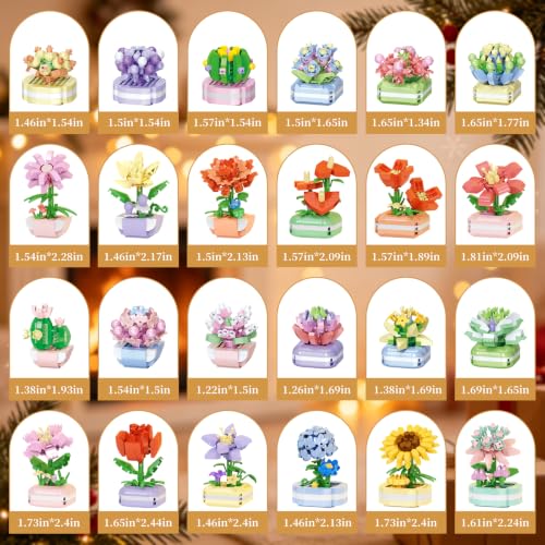 TINY FUN 24-Day Botanical Building Block Advent Calendar with Flowers & Succulents