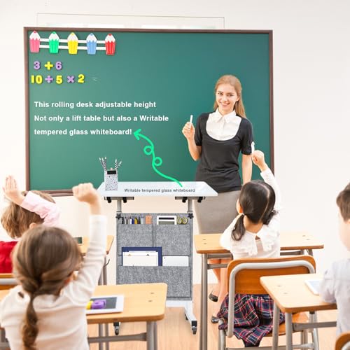 24 Inch Adjustable Standing Desk with Wheels & Writable Surface - Bag Included - 16x24 Inch Variation