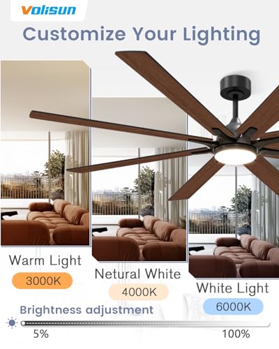 72-Inch Ceiling Fan with Lights and Remote - Black, Reversible & Quiet