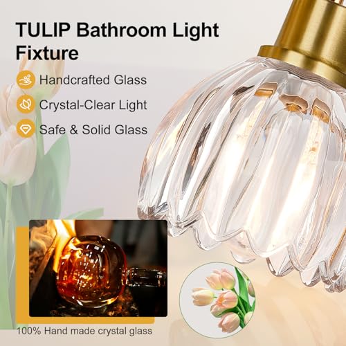 4-Light Bathroom Vanity Light Fixture - Brushed Gold with Tulip Clear Glass Shade, Over Mirror for Bathroom, Bedroom, Hallway - Variation: Brushed Gold - Tulip Clear