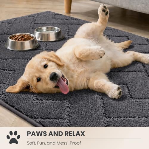 PURRUGS Grey Area Rug 48 x 72 Inches Low-Profile Durable Carpet