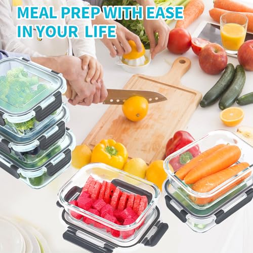 10 Pack Glass Food Storage Containers - 22 OZ Airtight Meal Prep Lids