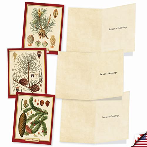 Best Card Co 10 Merry Christmas Boxed Cards Pinecone Pining for Christmas