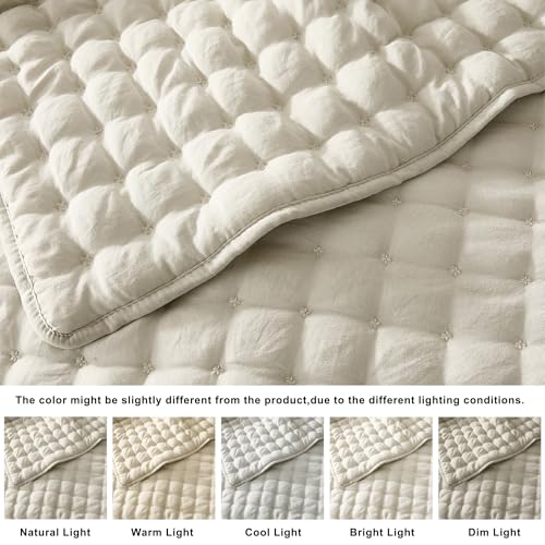 Wheat Cloud Soft Quilt Set King Size - Light Beige 3 Pieces