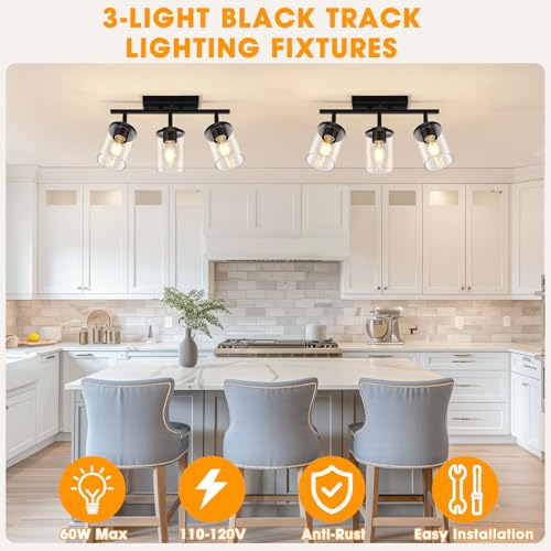 Black 3-Light Semi Flush Ceiling Light with Glass Shades - Adjustable Track Mount