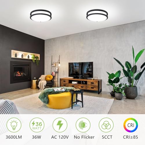 2 Pack Dimmable LED Ceiling Lights 36W 3000K-6000K Modern Flush Mount Fixture