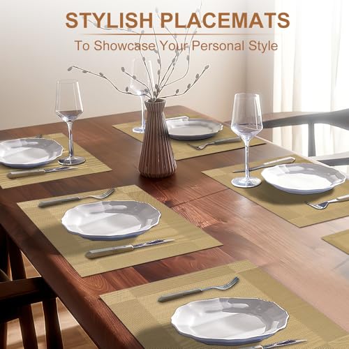 BETEAM Placemats Set of 12, Woven Vinyl Place Mats for Dining Table,