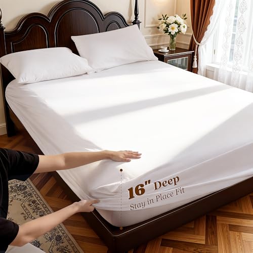 Egyptian Cotton Queen Bed Sheet Set - 1000 TC Deep Pocket 16" - White
