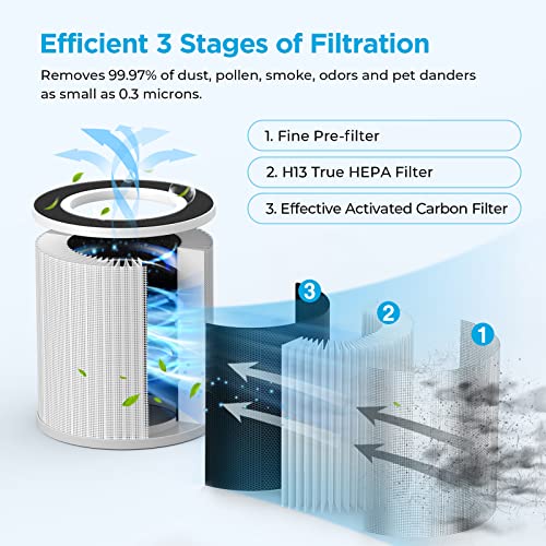 HEPA Filter Replacement for B-D02L/B-D02 Air Purifier 5.5x5.5x5.9 Inches 2-Pack