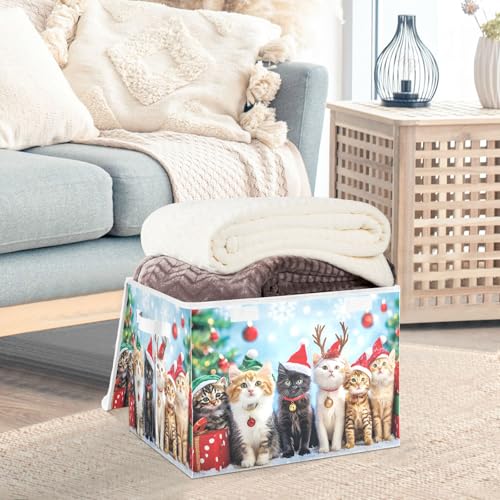 senya Christmas Baskets Collapsible Storage Bins with Lids, Cat A