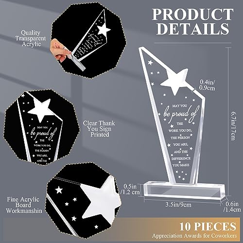 Stylish Bucherry 10 Pcs Employee Appreciation Acrylic Trophies - Thank You Awards