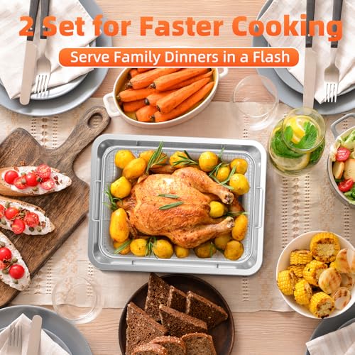 DEGOVIN Silver Air Fryer Basket & Tray Set for Oven - L+M Sizes, Includes Cooking Guide