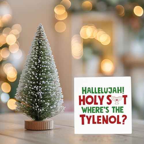 Christmas Vacation Decorations Christmas Vacation Movie Decor Xmas Vacation Decor Xmas Vacation Decorations Christmas Holiday Decor Cute Christmas Decor 5 x 5 inches