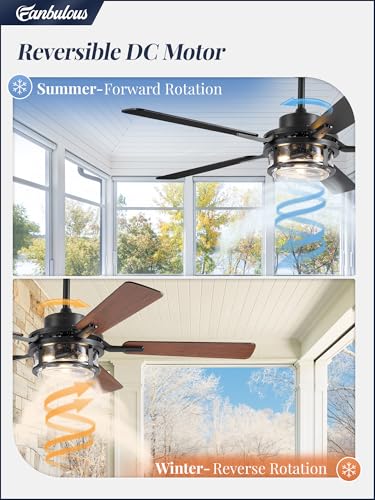 Fanbulous 52-Inch Farmhouse Ceiling Fan with Light & Remote - Black