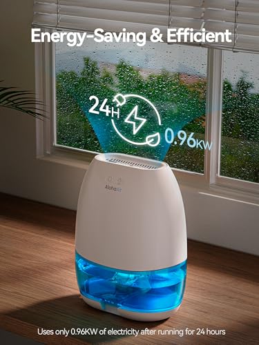 Small Dehumidifier for Home & Bedroom, Auto Shut Off, 34 OZ, White - Portable Moisture Absorber