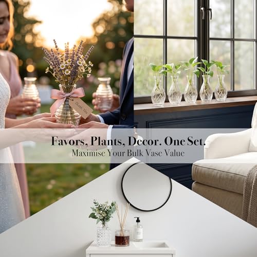 32 Pcs Clear Glass Bud Vases Set - Vintage Mini Flower Vases for Weddings & Events - Variation 32