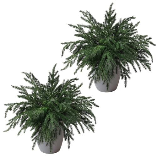 24Pcs Norfolk Pine Stems Real Touch 15" Artificial Christmas Branches