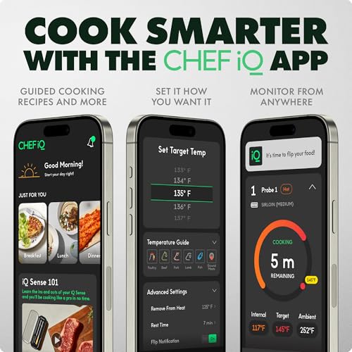 Wireless Meat Thermometer with 1 Probe - Ultra-Thin, WiFi, 1000°F Safe, 5 Sensors, for BBQ, Grill, Oven, Smoker, Air Fryer
