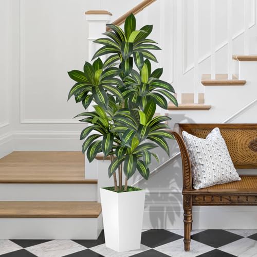 6FT Artificial Dracaena Tree with White Planter - Indoor & Outdoor Faux Tree