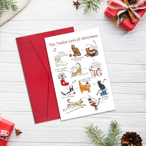 Ogeby Twelve Cats Christmas Card with Envelopes, Funny Holiday Gift for Cat Lovers, Multi-Color
