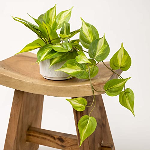Artificial Pothos Plant with Ceramic Pot - Green Faux Trailing Ivy for Shelves