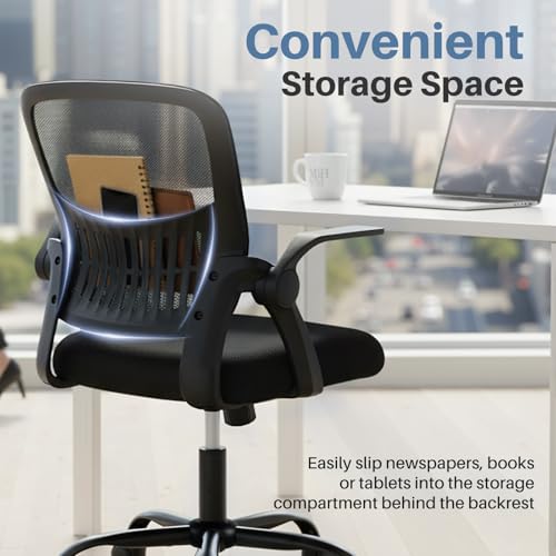 DUMOS Ergonomic Office Desk Chair with Lumbar Support, Adjustable Height, Black, 23.8 x 22.3 x 38.4 inches