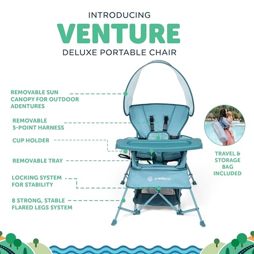 Baby Delight Go With Me Venture Portable Toddler Chair with Sun Canopy - Blue Wave