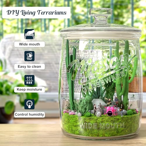 2 Pack 1 Gallon Glass Cookie Jars with Airtight Silicone Lids - Food Storage