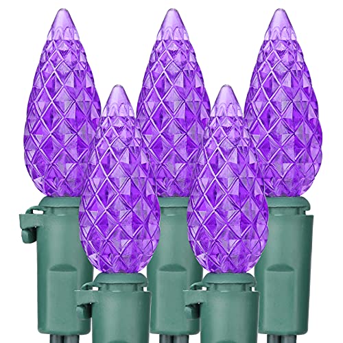 Brizled Purple Halloween Outdoor String Lights, 33 ft, 100 C5 LED (Purple)