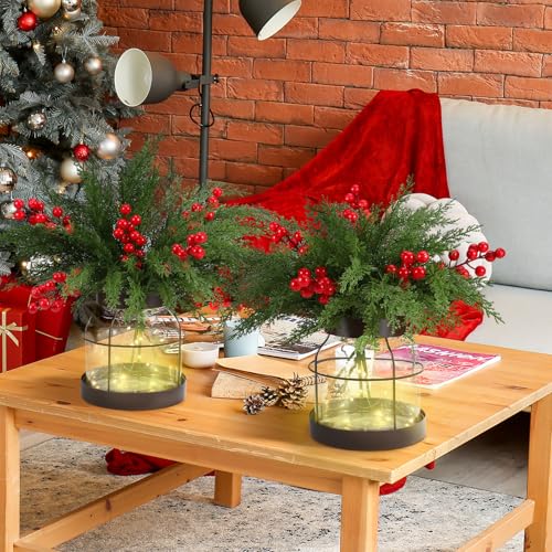 Knitgrip Christmas Norfolk Berries Picks with Glass Vase & LED Lights - 2 Set
