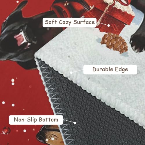 Kwlegh Christmas Dog Area Rug 24x35 Inch Washable Holiday Rug with Non-Slip Backing