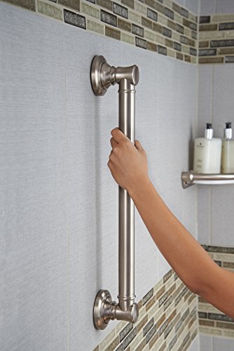 Delta 18-Inch Stainless Steel ADA Compliant Shower Grab Bar - Wall-Mounted Safety Handle for Bathroom, Tub, Seniors