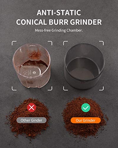 Electric Coffee Grinder with 35 Settings, Conical Burr, 2-12 Cup Capacity